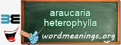 WordMeaning blackboard for araucaria heterophylla